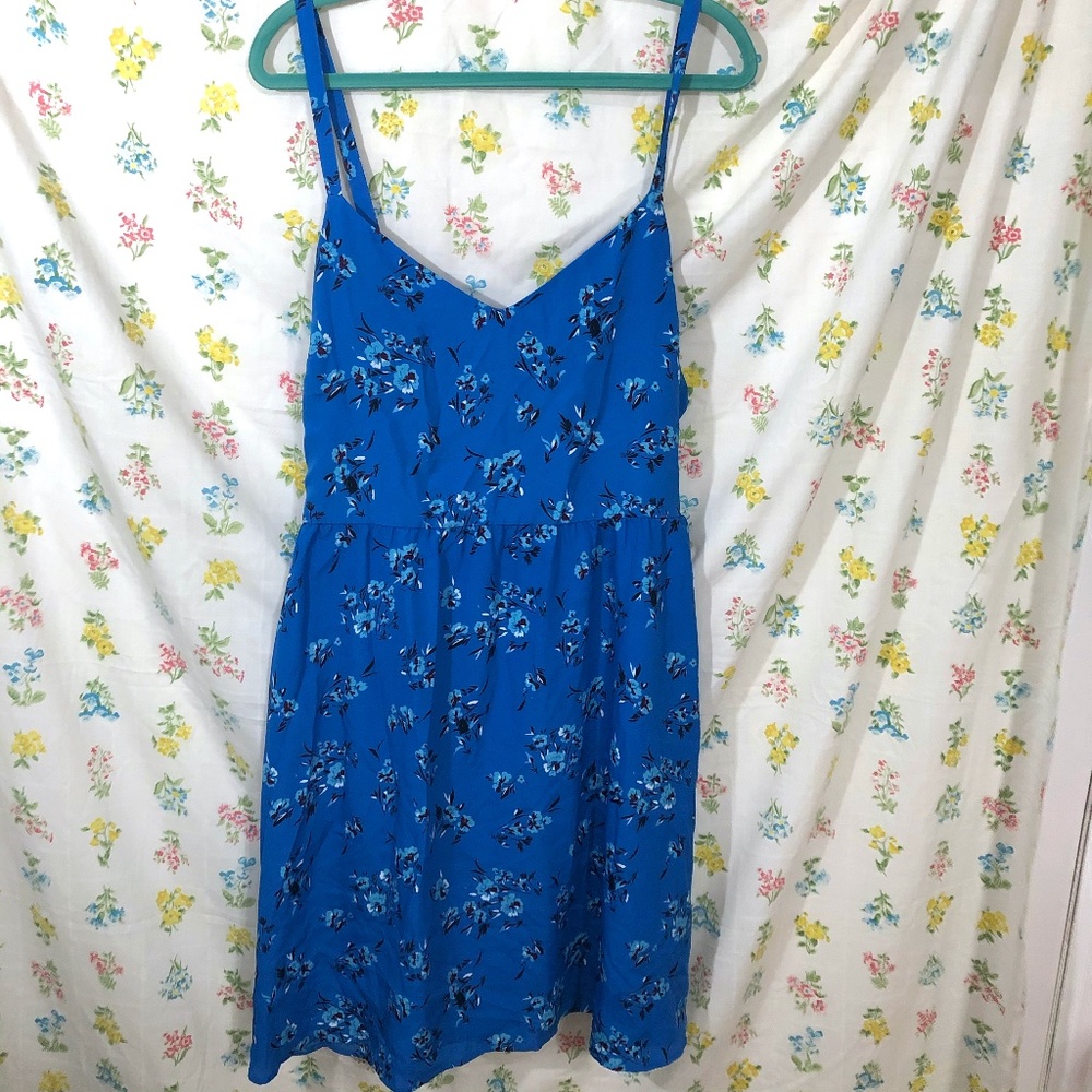 NWT Loft size 16 blue floral print dress
